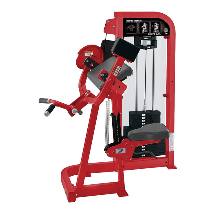 বাইসেপস