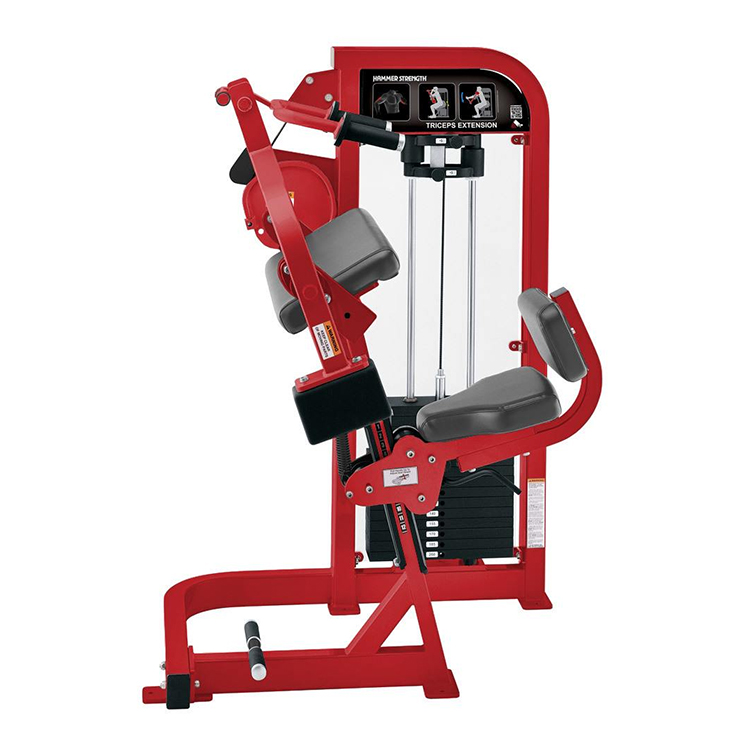 ট্রাইসেপস