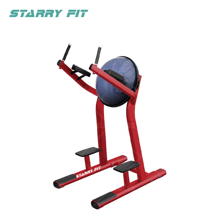 পা বাড়ান<br />LF-R-SLR পা বাড়ান<br />LF-R-SLR